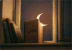 Quint Buchholz: Luna