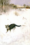 Liljefors - Cat stalking over snow