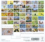 Harenberg - Heimische Vögel 2021